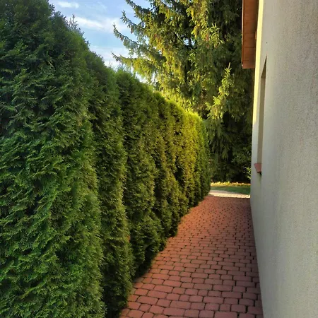 Aga * Węgorzewo