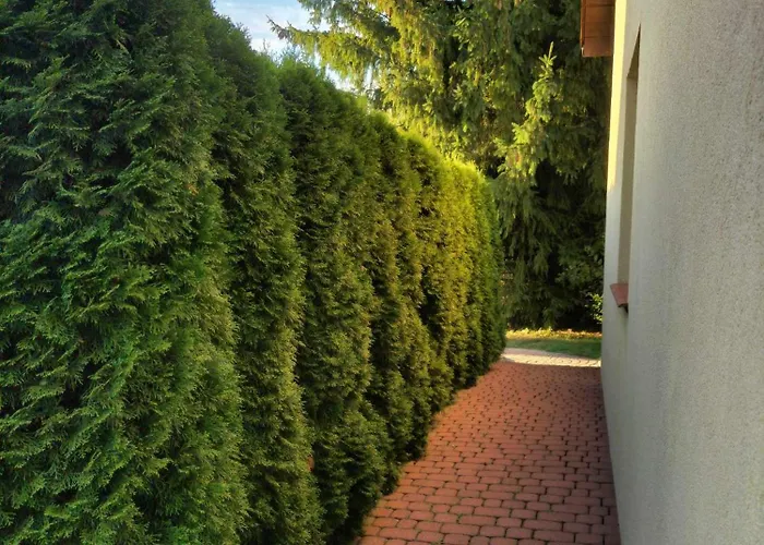 Aga * Венгожино