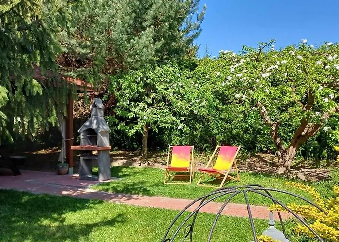 Aga Венгожино